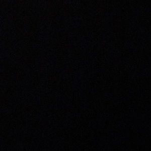 Meet your Posher, Max